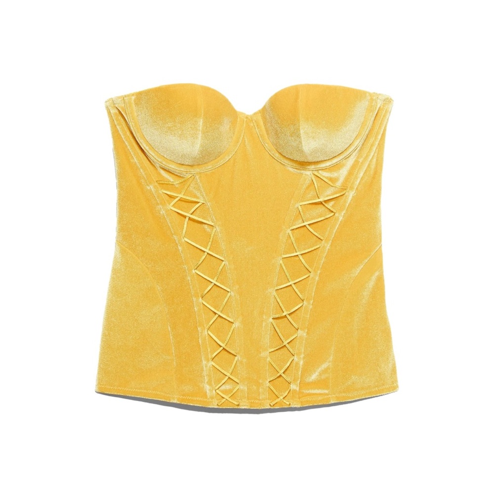NWOT Savage X Fenty Velvet Vixen Corset